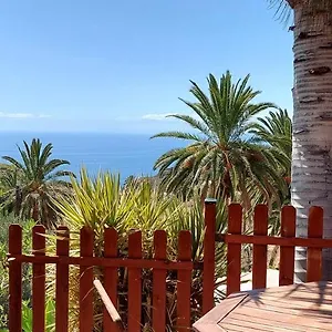 Palmeros , Alojera España